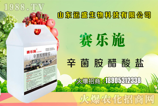 大棚杏樹的授粉方法，大棚杏樹如何多坐果？