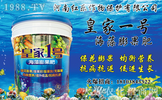 花椒產(chǎn)地主要在哪？花椒價(jià)格多少錢一斤？種植前景及效益分析！