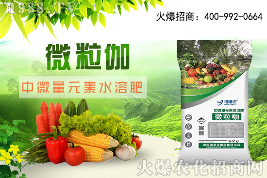 ����ԓ��ô��������������r�g������ע��Ҫ�c(di��n)��