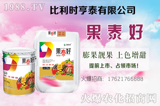 油茶樹的價(jià)格怎樣？種植前景如何？油茶樹畝產(chǎn)效益分析！