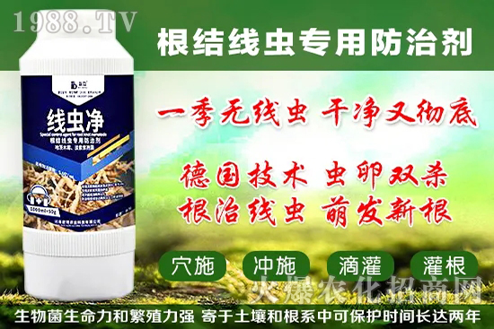 火龍果套袋起什么作用，火龍果套袋果袋如何選擇？