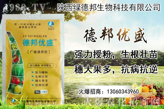 �����r(ji��)������Xһ������Nֲ�ĭh(hu��n)�������x������