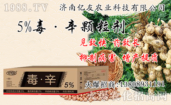 果樹秋栽和春栽有什么不同，果樹秋栽八大關(guān)鍵要點(diǎn)！