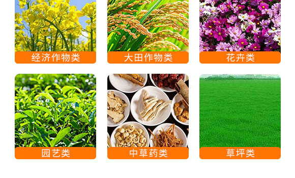 糖醇鋅-英爾果_07