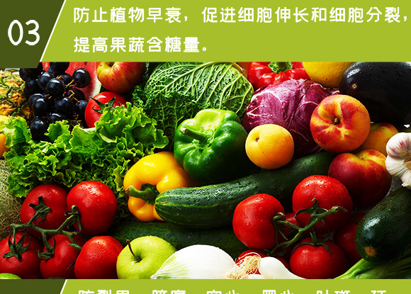 糖醇鈣-英爾果_10