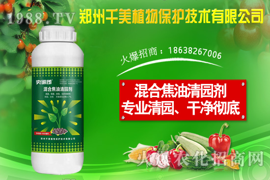 ���X�ݷN����ô�N�����X�ݷNֲ������B��