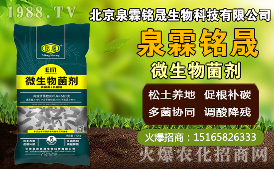 芒果什么時(shí)間種植，芒果種植方法及控水時(shí)期！