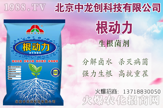 白蘿卜的需肥特性有哪些，白蘿卜施肥技術(shù)要點(diǎn)！