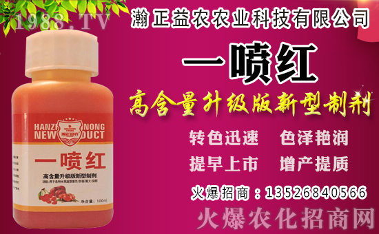 白蘿卜初秋種植還是深秋？白蘿卜種植時間和管理！