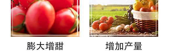 �����r(n��ng)��ጷ���28-12-12-�и���ʢ_06