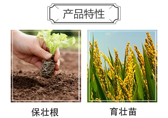 50L育苗基質-沃爾優(yōu)_04