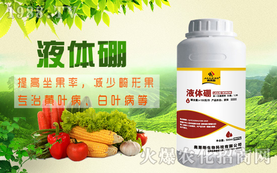 棉花缺硼危害究竟有多大，棉花缺硼癥狀及硼肥施用技術(shù)！