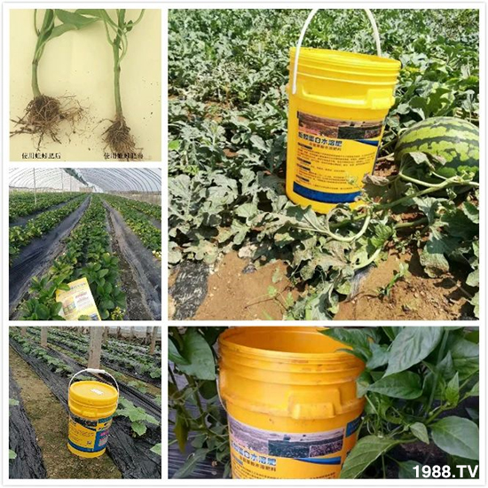 水溶肥市場大變革??？海藻精、魚蛋白將被它代替！1000多用戶鼎力推薦！