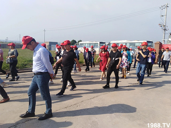 水溶肥市場大變革??？海藻精、魚蛋白將被它代替！1000多用戶鼎力推薦！