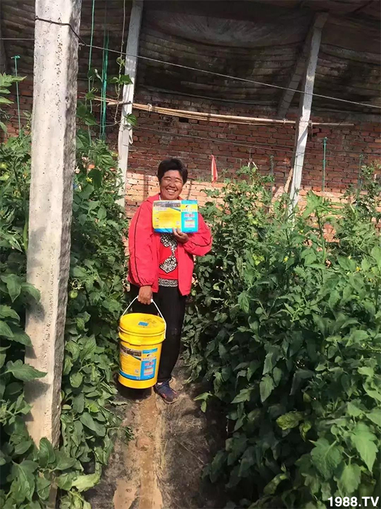 水溶肥市場大變革??？海藻精、魚蛋白將被它代替！1000多用戶鼎力推薦！