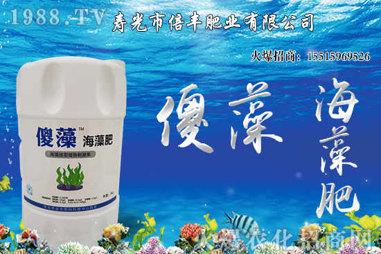 市場(chǎng)逐步回歸正?；久妫蠖箖r(jià)格沖高回落！