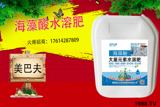 海藻肥具有哪些作用？與傳統(tǒng)肥料相比有何優(yōu)勢(shì)？