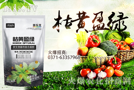 十月即將到來，麥價能漲多少？9月29日小麥價格走勢！