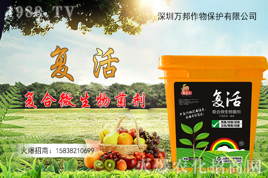 大棚油桃栽種后如何進(jìn)行管理，有什么方法要點？