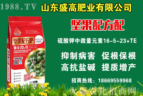 小麥價(jià)格還要上漲嗎？9月9日國(guó)內(nèi)小麥價(jià)格行情！