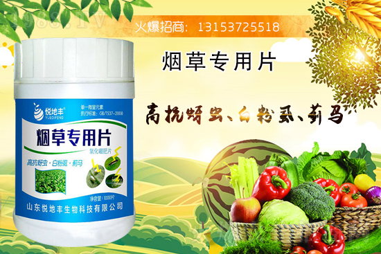 煙草專用片能治什么病害？煙草專用片有什么特點？