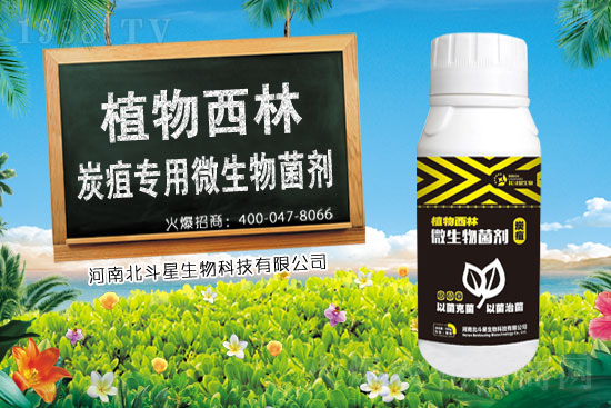 2021年1月19日噻唑鋅農(nóng)藥殺菌劑價格