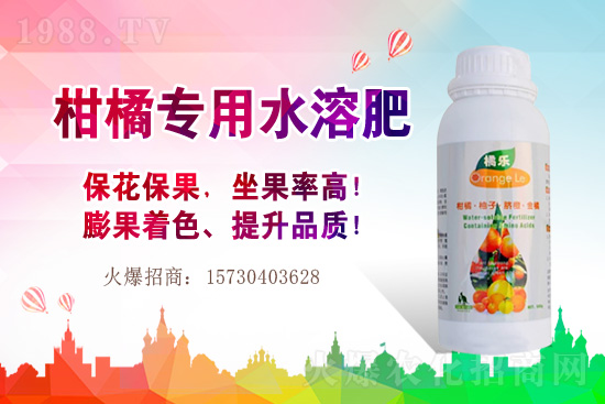 草莓的生長(zhǎng)習(xí)性有哪些？早春大棚草莓管理技術(shù)要點(diǎn)！