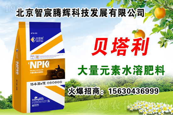 2020��Nʲôˎ����ٍ�X���Nֲˎ�����a�N������Щˎ���зNֲǰ����