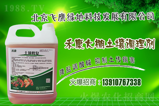 紫皮大蒜怎么種植？紫皮大蒜高產(chǎn)栽培技術(shù)！