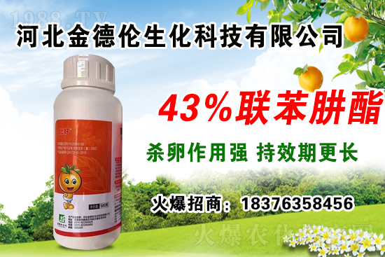 �����紺���������瑪(y��ng)ע����Щ��(w��n)�}