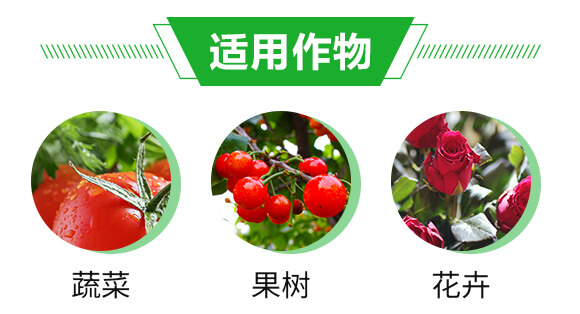 大量元素水溶肥料12-6-42+TE-貝塔利_04