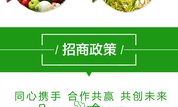 大量元素水溶肥料13-6-38+TE-朵倍保-百農(nóng)思達_07