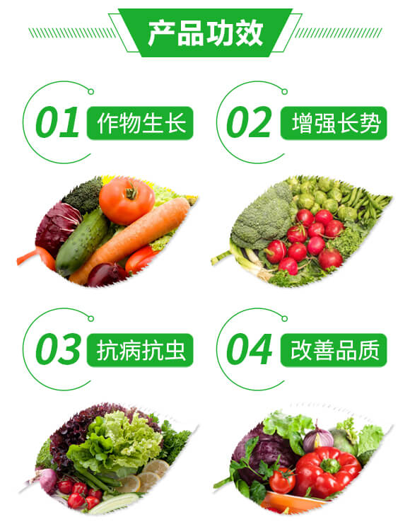 大量元素水溶肥料20-20-20+TE-貝塔利_03