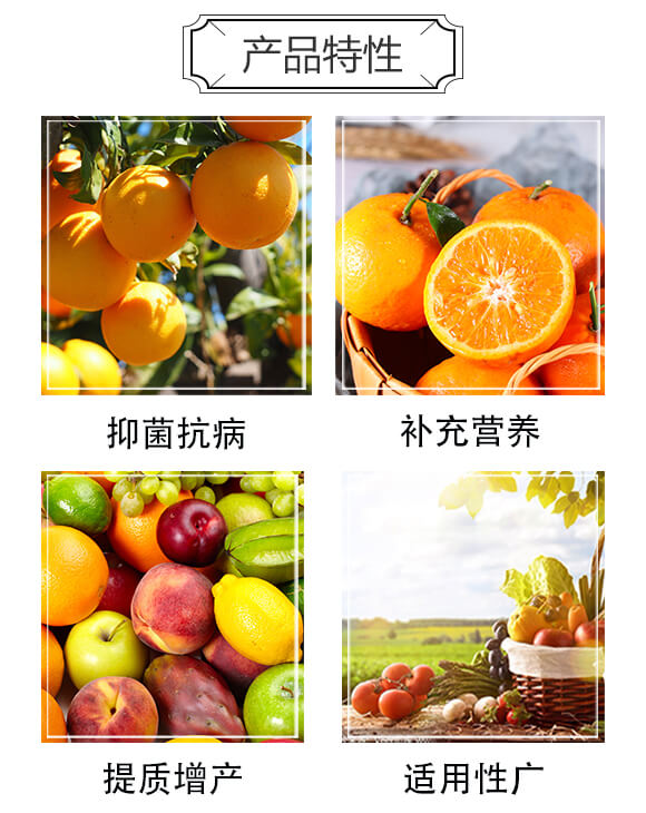 哈茨木霉·枯草芽孢桿菌-潰瘍速清-衡多豐_03