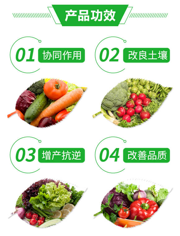 �VԴ�S�����+��(f��)�ϻ��-�S¡�VԴ-�|�S¡_03