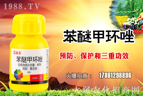 ����������x�����׷N�������׷NֲҪע����Щ���}��