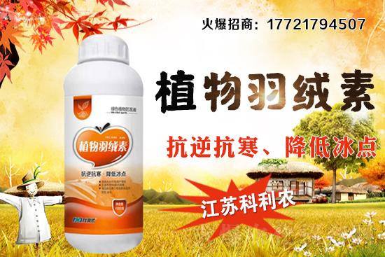 �����׷Nֲ�ܶ���ΰ��գ�������ʩ�ʼ��к��ڹ�����