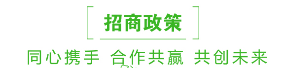 煙草專用-俺倆中-恒綠植物_06