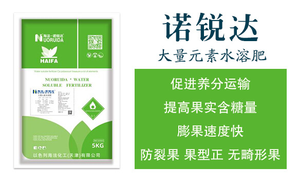 大量元素水溶肥12-6-42+TE-諾銳達-海法化工_02