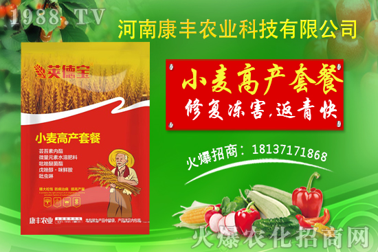 小麥高產(chǎn)套餐能解決小麥哪些問題？小麥高產(chǎn)套餐使用方法!