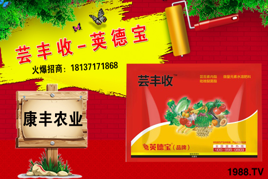 小麥高產(chǎn)套餐能解決小麥哪些問題？小麥高產(chǎn)套餐使用方法!