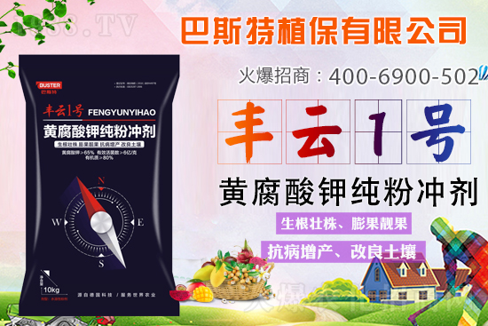 ������Y(ji��)/�}�n��/�ữ�y��Q�������S����⛼��ۄ���