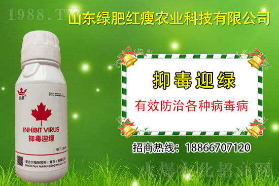 ���β�������Ҳ���ð������ֶ�ӭ�G�����β�������