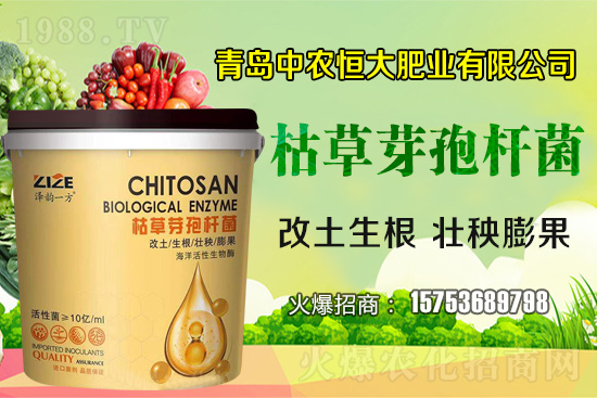 枯草芽孢桿菌真的是“菌中”嗎？枯草芽孢桿菌具體作用你了解嗎？