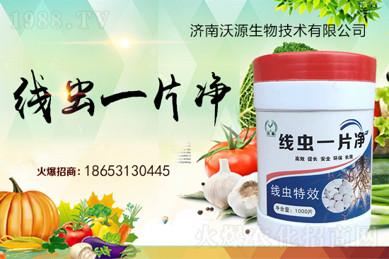 根結(jié)線蟲難防治，專治線蟲“線蟲一片凈”