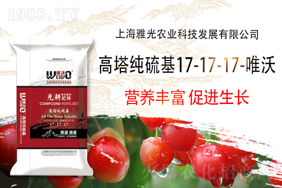 復(fù)合肥市場價格，10月30日復(fù)合肥價格行情