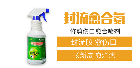 河南一畫(huà)農(nóng)業(yè)科技有限公司_02