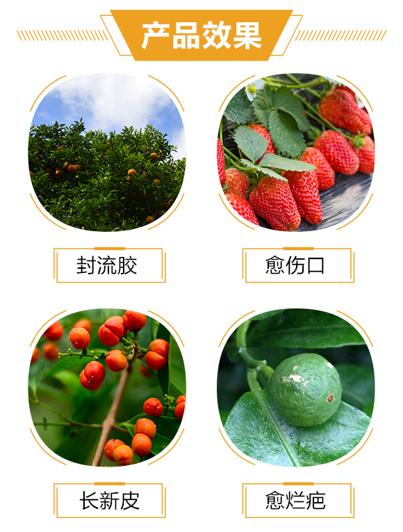 河南一畫(huà)農(nóng)業(yè)科技有限公司_03