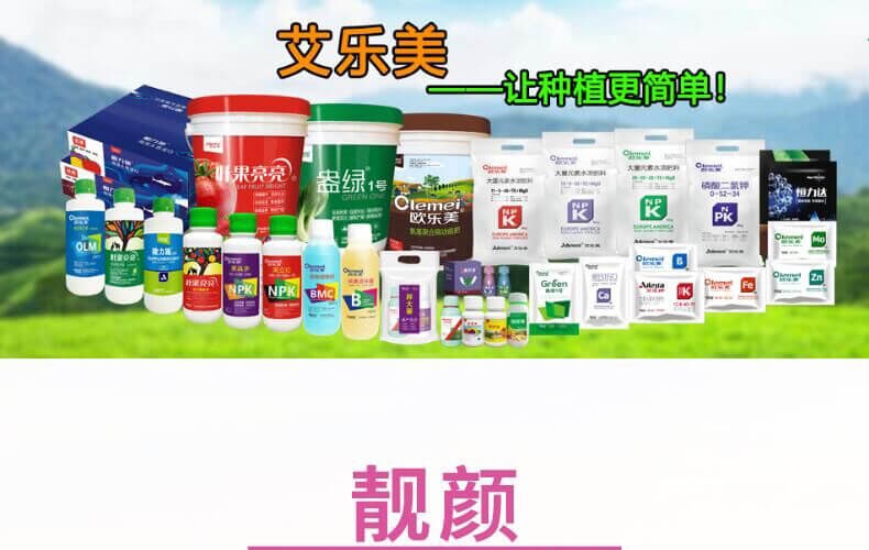 葉果亮亮-靚顏-艾樂(lè)美_01