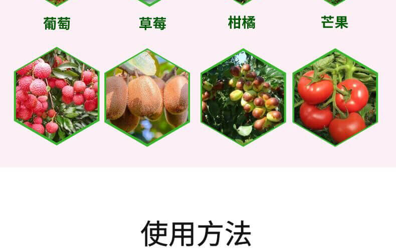 葉果亮亮-靚顏-艾樂(lè)美_11